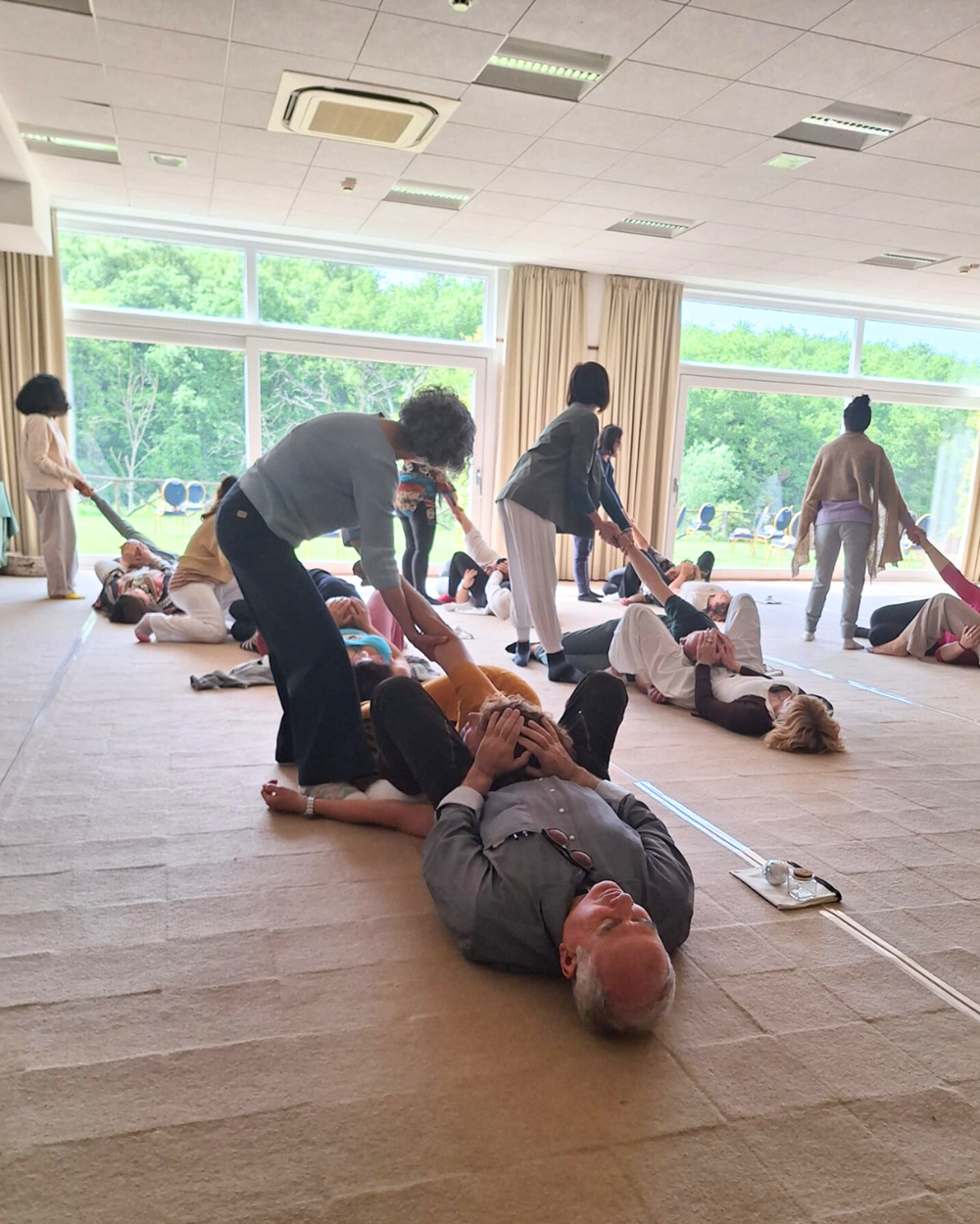 Costellazioni familiari Crearmoniche di gruppo 