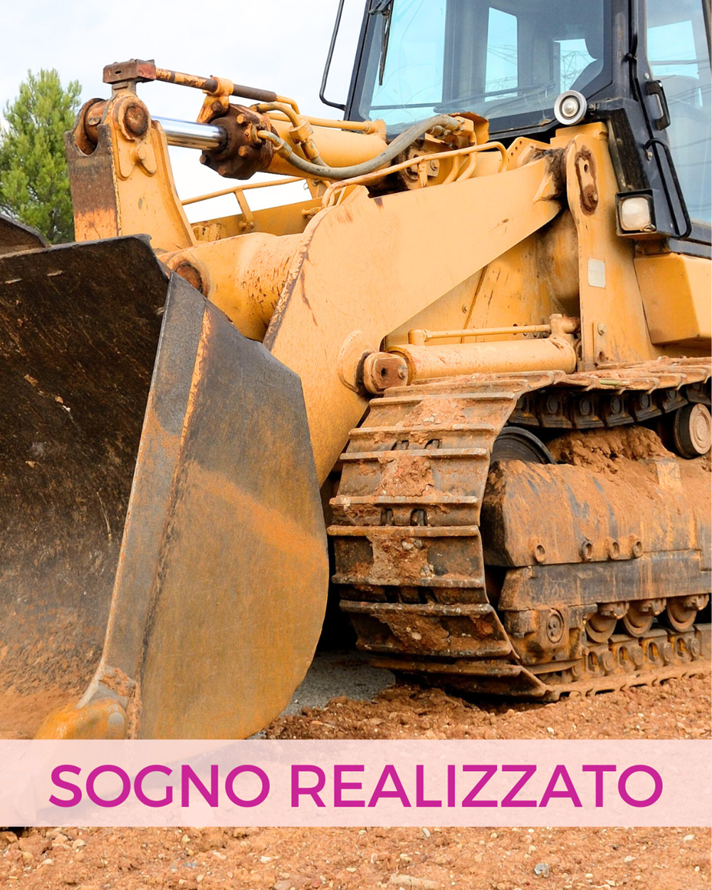 SCIVOLA NELLE RADICI: per piantare il tuo sogno nella terra del futuro 