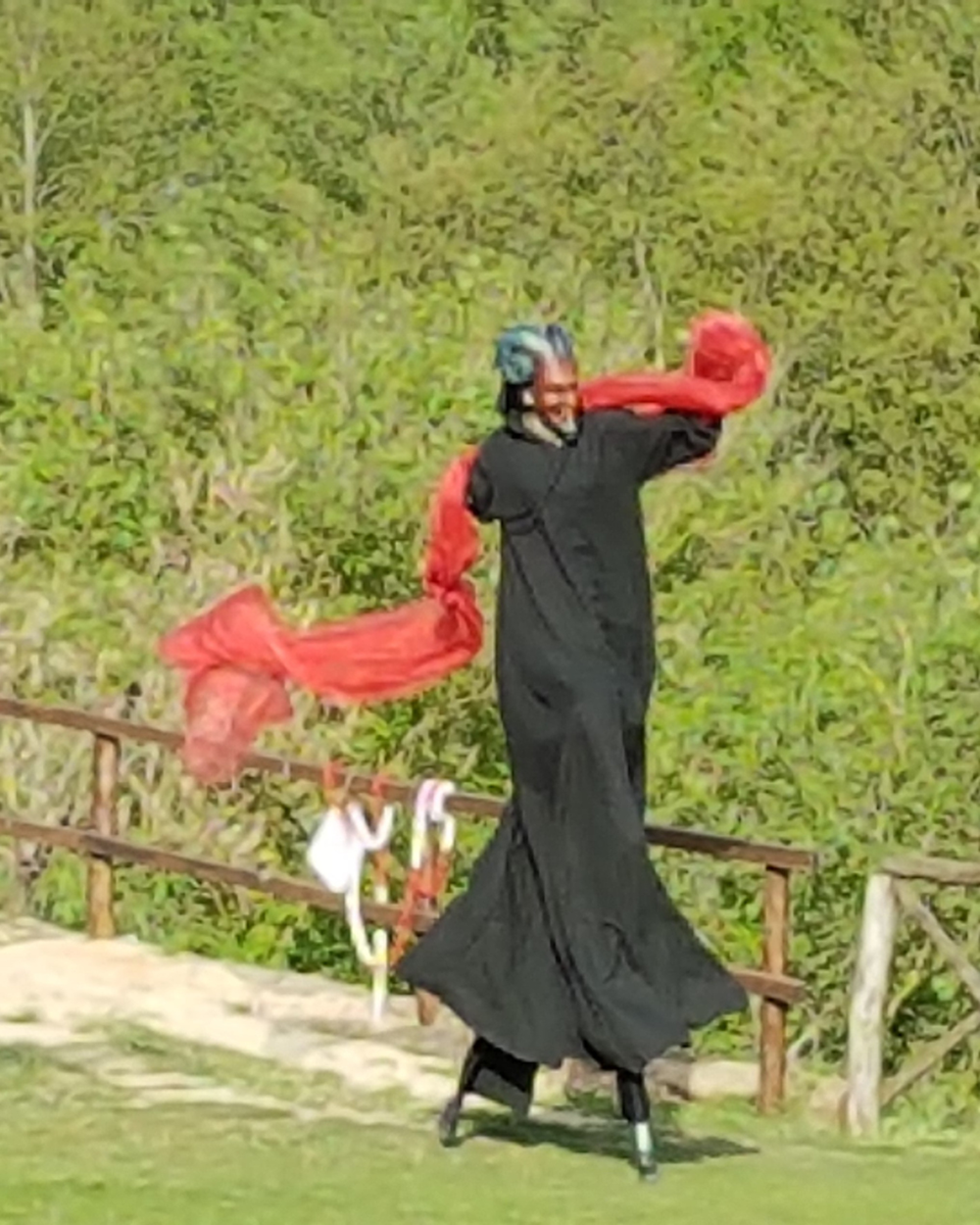 SCIVOLA NELLE RADICI: per realizzare i tuoi sogni 